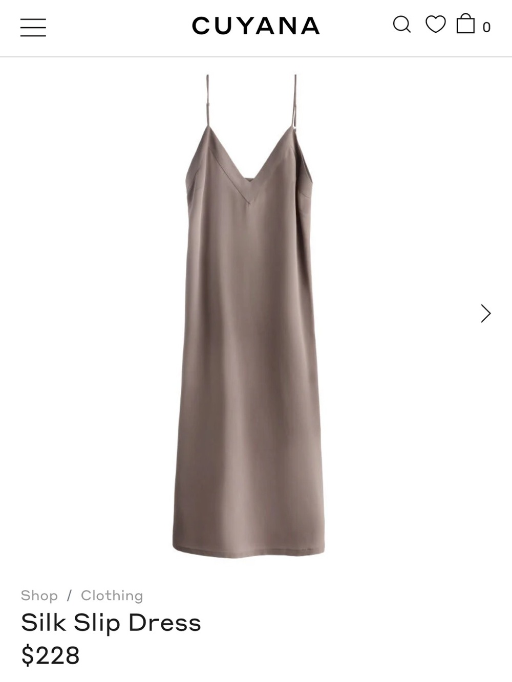 Cuyana Silk Slip Dress Medium